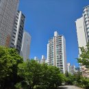 대박PC | [임장후기] 용인 수지 (재건축, 리모델링 ,주공)