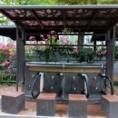 전통중앙도매상가 이미지