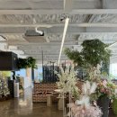 제니아빈 | 대구 달서구 대형 카페 추천 | 아기랑 가기 좋은 '제니아빈'