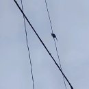 행복한153 이미지