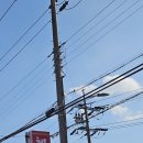 행운반점 이미지