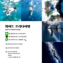 돈을 부르는 첫 걸음, 인스타그램 운영 초급 과정 | 창원프리다이빙 어디서 배워?｜AIDA 자격증 준비 꿀팁 모두 공개