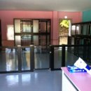 숲속애견랜드 이미지