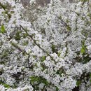 모듬내길 이미지