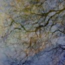 더기능가정의학과의원 이미지