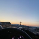 허니포레스트