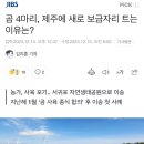 곰 4마리, 제주에 새로 보금자리 트는 이유는? 이미지