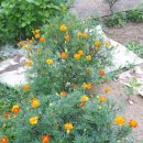 호생농장 이미지