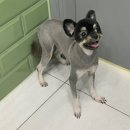 온빛동물병원 이미지