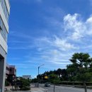 반려견 | 양양 호텔 체스터톤스 낙산 반려견 동반 후기