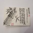 나비사주카페 이미지