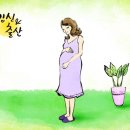 늘푸른산후조리원 네이버블로그