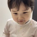 개도널사랑해 이미지