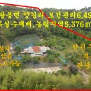 매물번호1000-138,팔봉면 양길리전원주택 및 과수원용지11,872㎡(3,591평)매가 3억8천만원 이미지