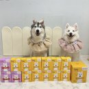 별덴탈 | 핏펫 플라고 벌집 덴탈껌 3D 스케일링껌 후기 별달여름겨울이네