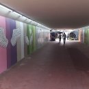 참마을로 이미지