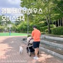 태우하우스 | 영통 베이비하우스 오이스터4 샴페인 샌드달러 절충형 유모차 내돈내산
