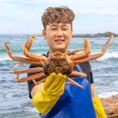 포항 효자동 고기 맛집 뭉텅 직원이 직접 구워주는 프리미엄 고깃집(솔직후기)
