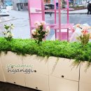 공간꽃조경 이미지