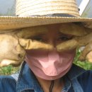 진두(여) 이미지