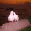 지구에서 너뿐 이미지