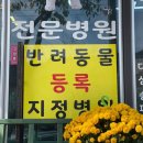 영광동물병원 이미지