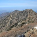 선경