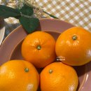 순연농장 이미지