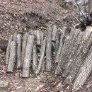 반딧불 펜션 이미지