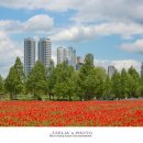 태화강국가정원 이미지