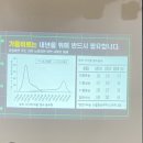 표선면사무소 이미지