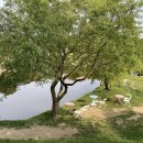 대형목장 이미지