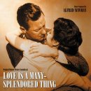 [올드팝] Love is a Many Splendored Thing (모정 慕情, 1955) - Andy Williams 이미지