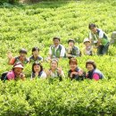 진명허브 이미지