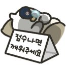52블럭 이미지
