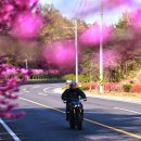 예뜰리에호스텔 이미지