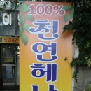 엘샤론염색