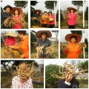 유성농장 이미지