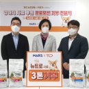 애견11번가