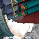 수산리-13 이미지