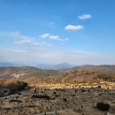 삼덕공원 이미지