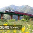 관광열차 이미지
