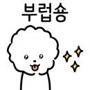 백설애견 이미지