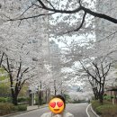 예삐마트 이미지