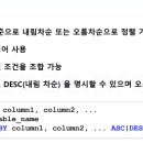 처음 시작하는 자바 프로그래밍-초급 이미지