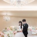 더레이스튜디오 | 의정부 더레이나 웨딩 스냅 업체 <비비안웨딩> 후기