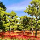 가을코스2 이미지