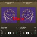 Maca / 20230301 / 오전 3시 이미지