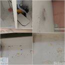 메트로디오빌 이미지