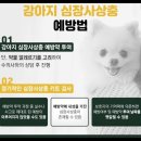진안동물병원 네이버블로그